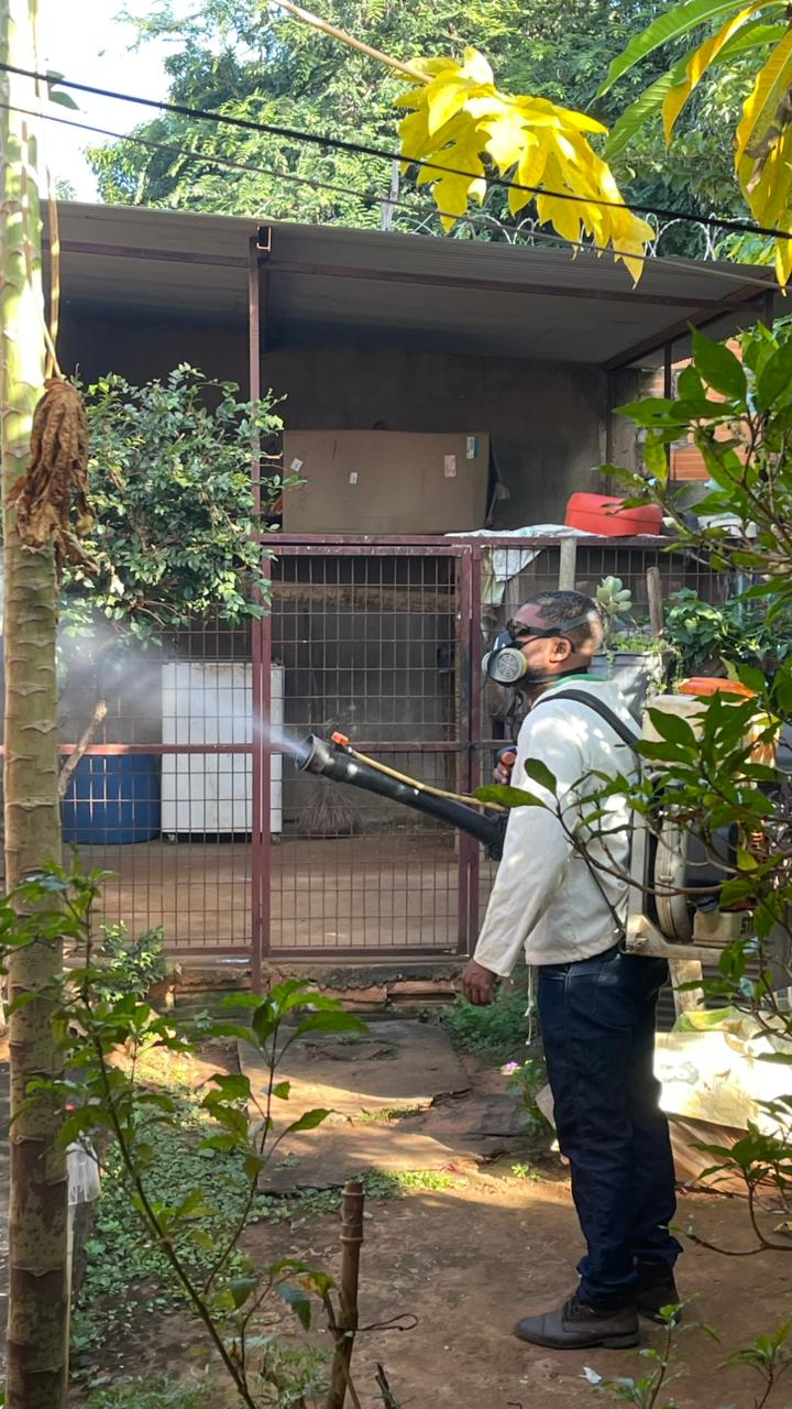 Controle de pragas em quintal